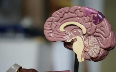Supporting People Living with Dementia: 6 Ways Our Technology Can Help