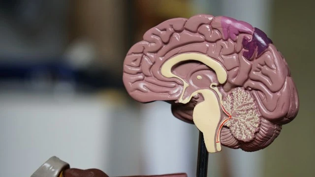 Supporting People Living with Dementia: 6 Ways Our Technology Can Help